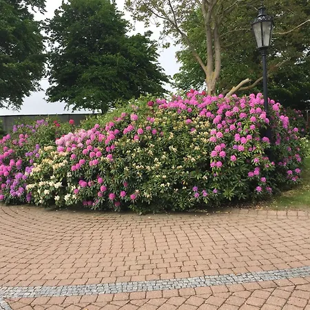 Meerblick-ostsee Lübeck